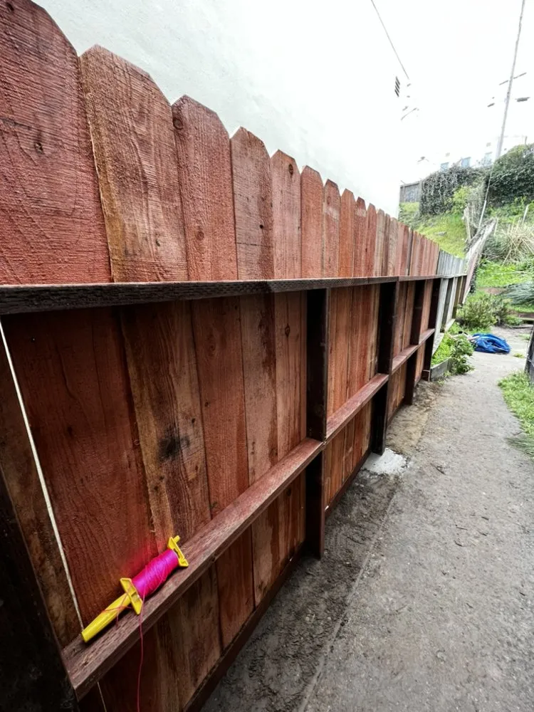 Expert yard cleanup service for residential properties in San Mateo, CA by Chevez Landscaping