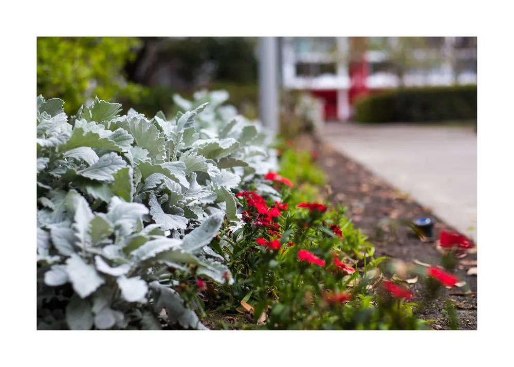 Trusted landscaping services in Cheyenne, WY by Cheyenne Landscapers