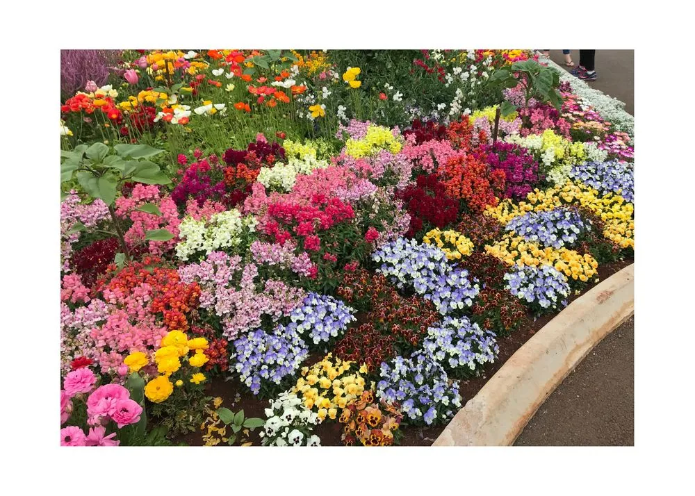 Expert lawn mowing service in Cheyenne, WY by Cheyenne Landscapers