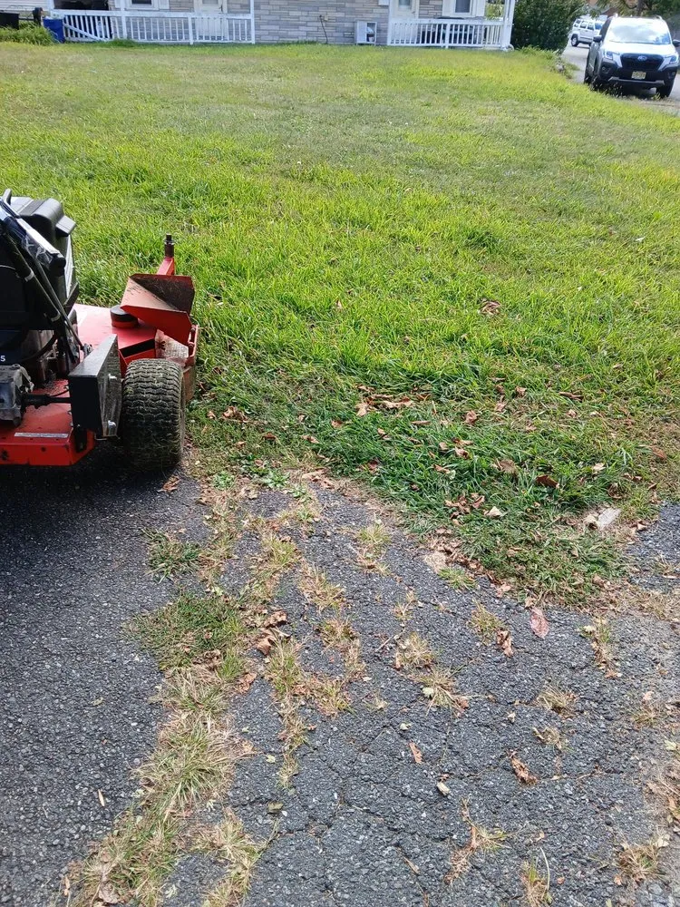 Top-rated landscaping services experts serving Lafayette, NJ - Cheyo Landscaping