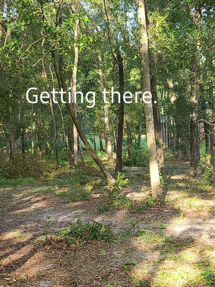 Reliable garden landscaping for homes across Archer, FL - Chey's Home And Yard Maintenance