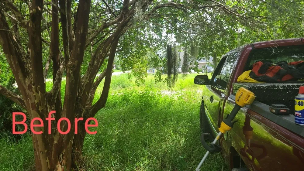 Affordable landscape design in Archer, FL - Chey's Home And Yard Maintenance