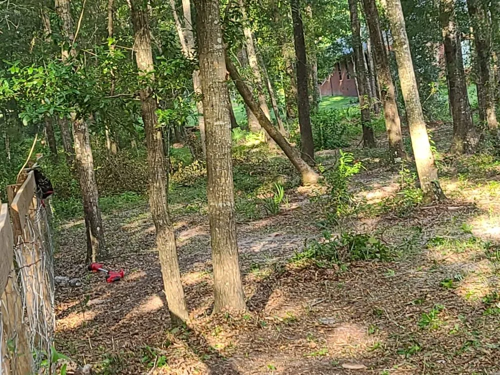 Local lawn care service for outdoor upgrades in Archer, FL by Chey's Home And Yard Maintenance