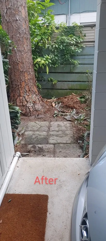 Professional yard cleanup service in Archer, FL - Chey's Home And Yard Maintenance