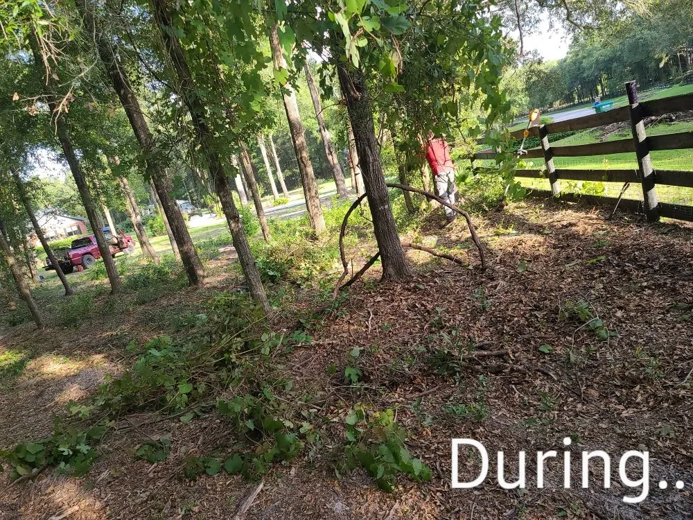 Trusted garden landscaping for homes across Archer, FL - Chey's Home And Yard Maintenance