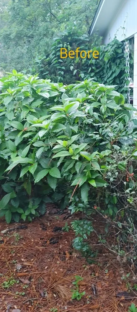 Reliable garden landscaping experts serving Archer, FL - Chey's Home And Yard Maintenance