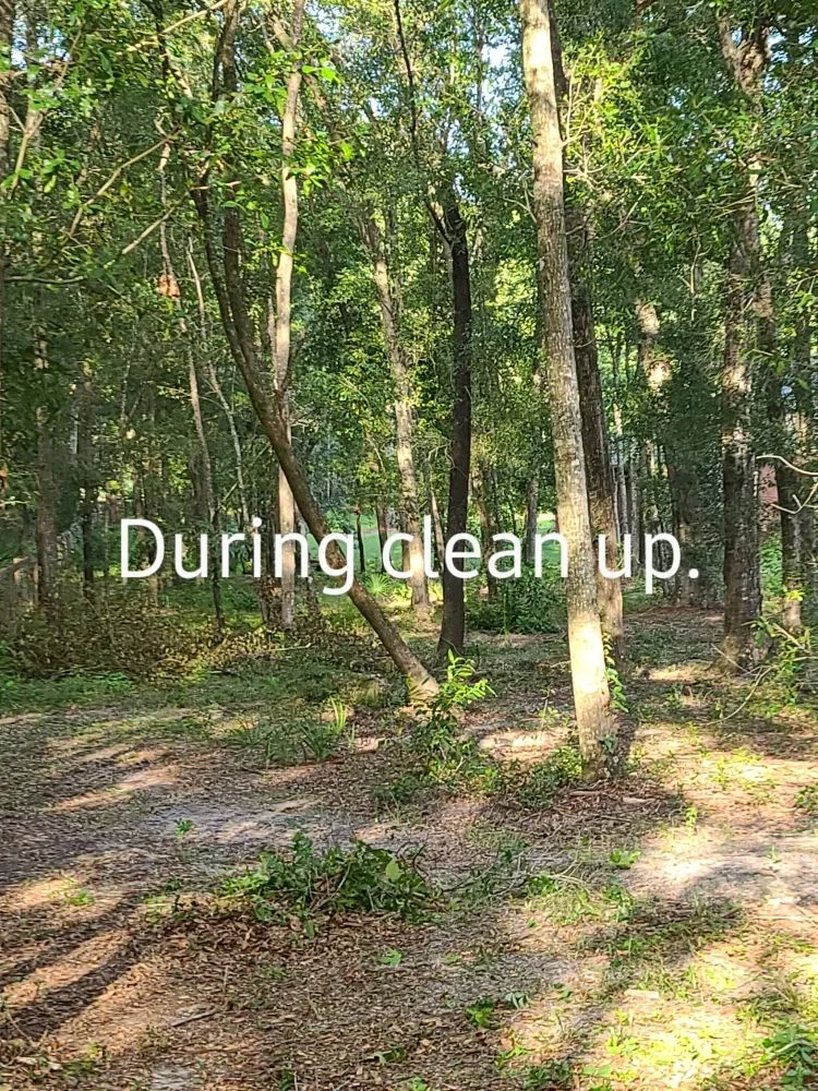 Affordable outdoor landscaping in Archer, FL by Chey's Home And Yard Maintenance