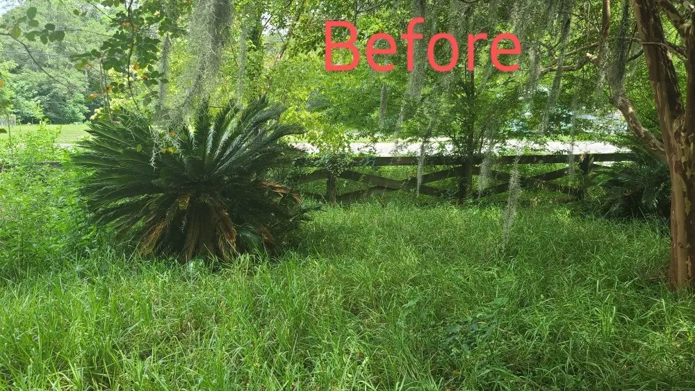 Top-rated landscape design for beautiful yards across Archer, FL - Chey's Home And Yard Maintenance