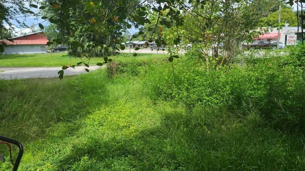 Expert landscaping services in Archer, FL - Chey's Home And Yard Maintenance