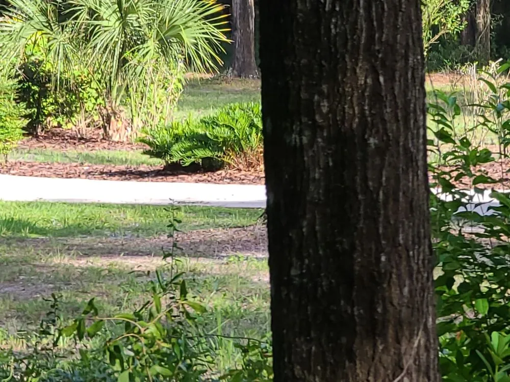 Affordable lawn mowing service in Archer, FL - Chey's Home And Yard Maintenance