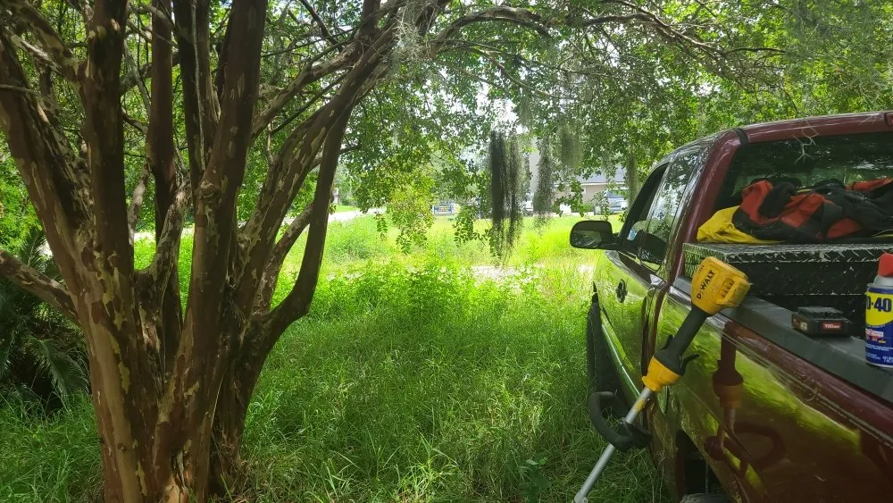 Local residential landscaping experts serving Archer, FL - Chey's Home And Yard Maintenance