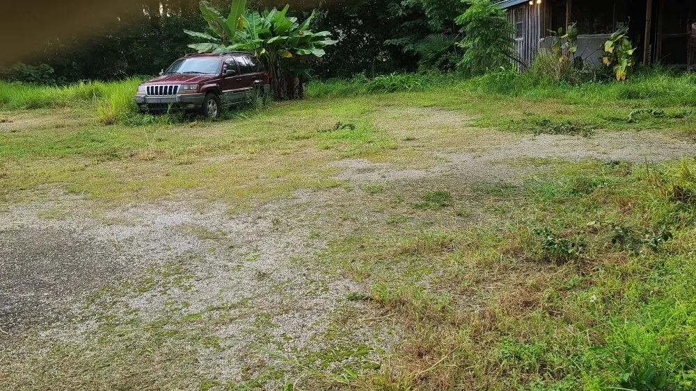 Professional lawn care service in Archer, FL - Chey's Home And Yard Maintenance