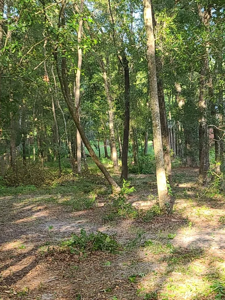 Top-rated yard maintenance experts serving Archer, FL - Chey's Home And Yard Maintenance