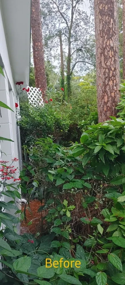 Trusted landscape installation in Archer, FL by Chey's Home And Yard Maintenance