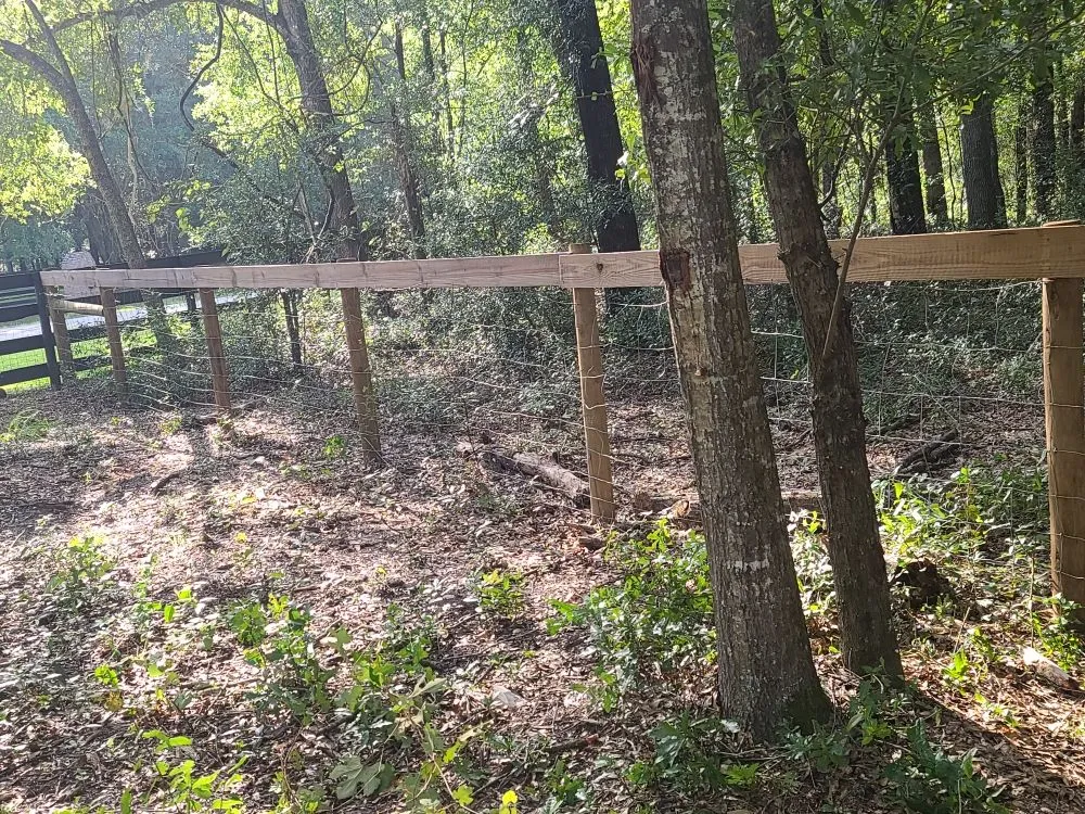 Expert residential landscaping near you across Archer, FL - Chey's Home And Yard Maintenance