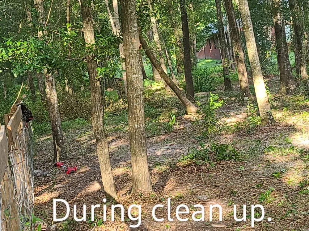 Professional yard maintenance for beautiful yards in Archer, FL by Chey's Home And Yard Maintenance