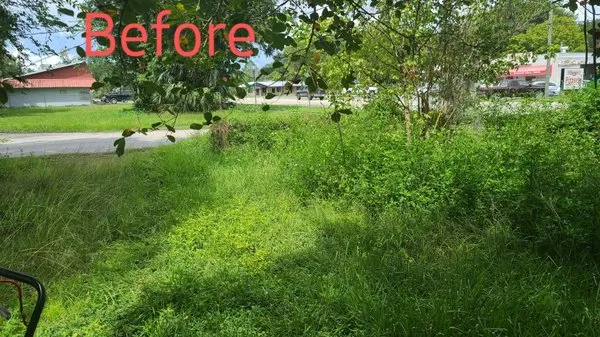 Chey's Home And Yard Maintenance