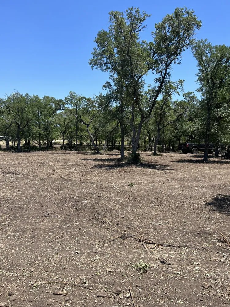 Top-rated landscaping services for year-round maintenance across San Antonio, TX - Chi Rho Services Group