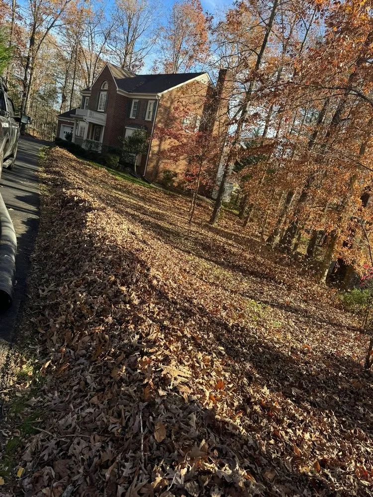 Affordable landscaping services with custom design across Charlottesville, VA - Chiapas Lawn Care