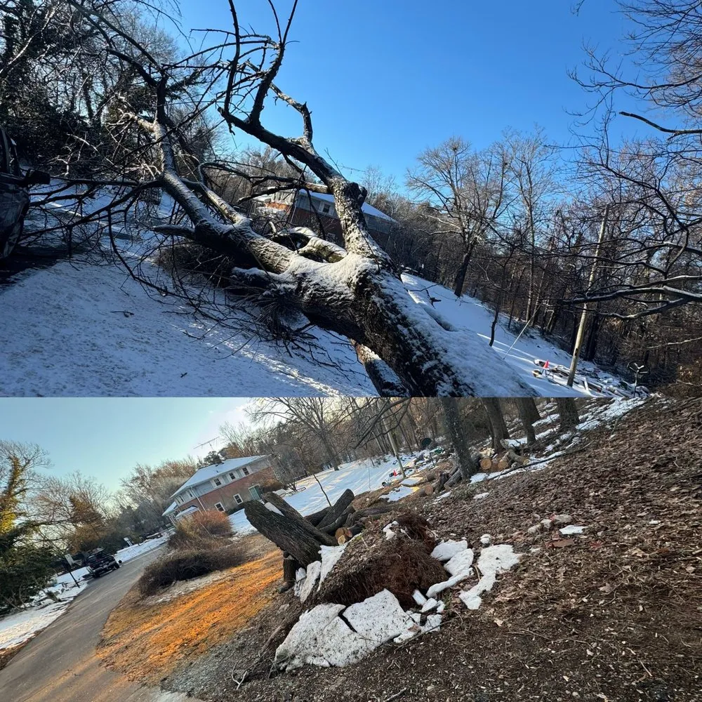 Expert outdoor landscaping in Charlottesville, VA - Chiapas Lawn Care