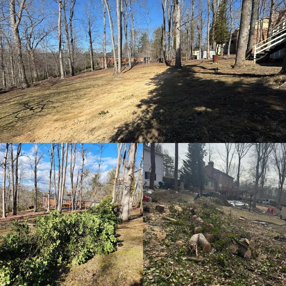 Reliable landscape installation for residential properties across Charlottesville, VA - Chiapas Lawn Care