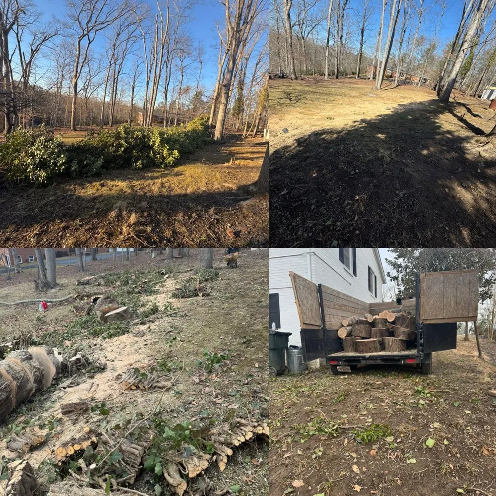 Trusted yard cleanup service in Charlottesville, VA by Chiapas Lawn Care