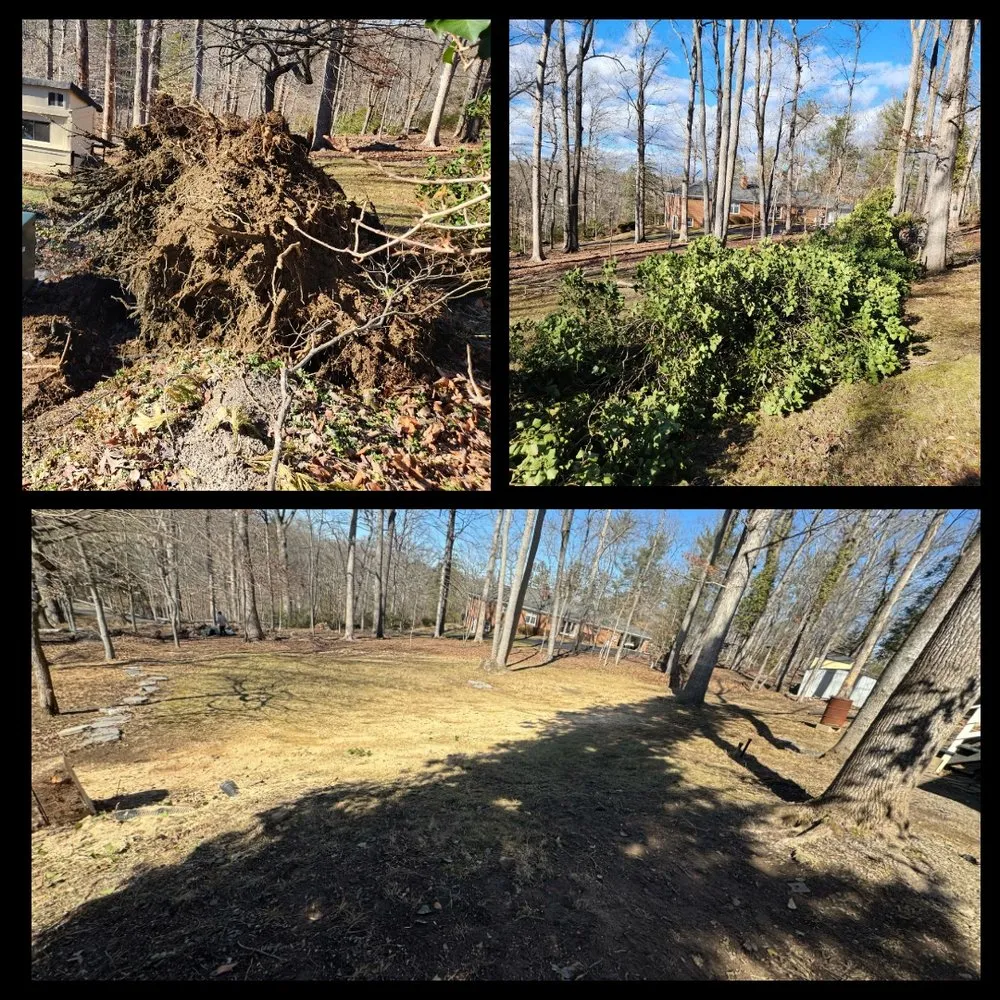 Trusted landscape installation for year-round maintenance across Charlottesville, VA - Chiapas Lawn Care