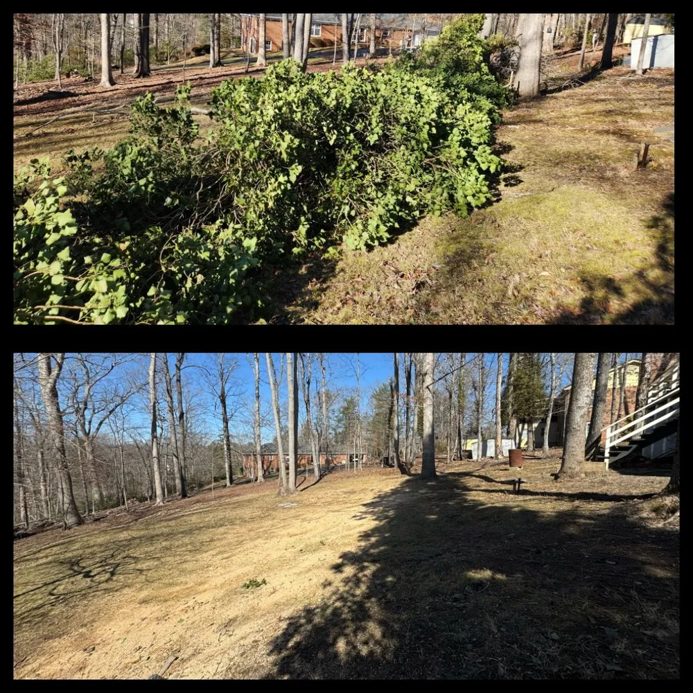 Top-rated yard cleanup service for year-round maintenance in Charlottesville, VA by Chiapas Lawn Care