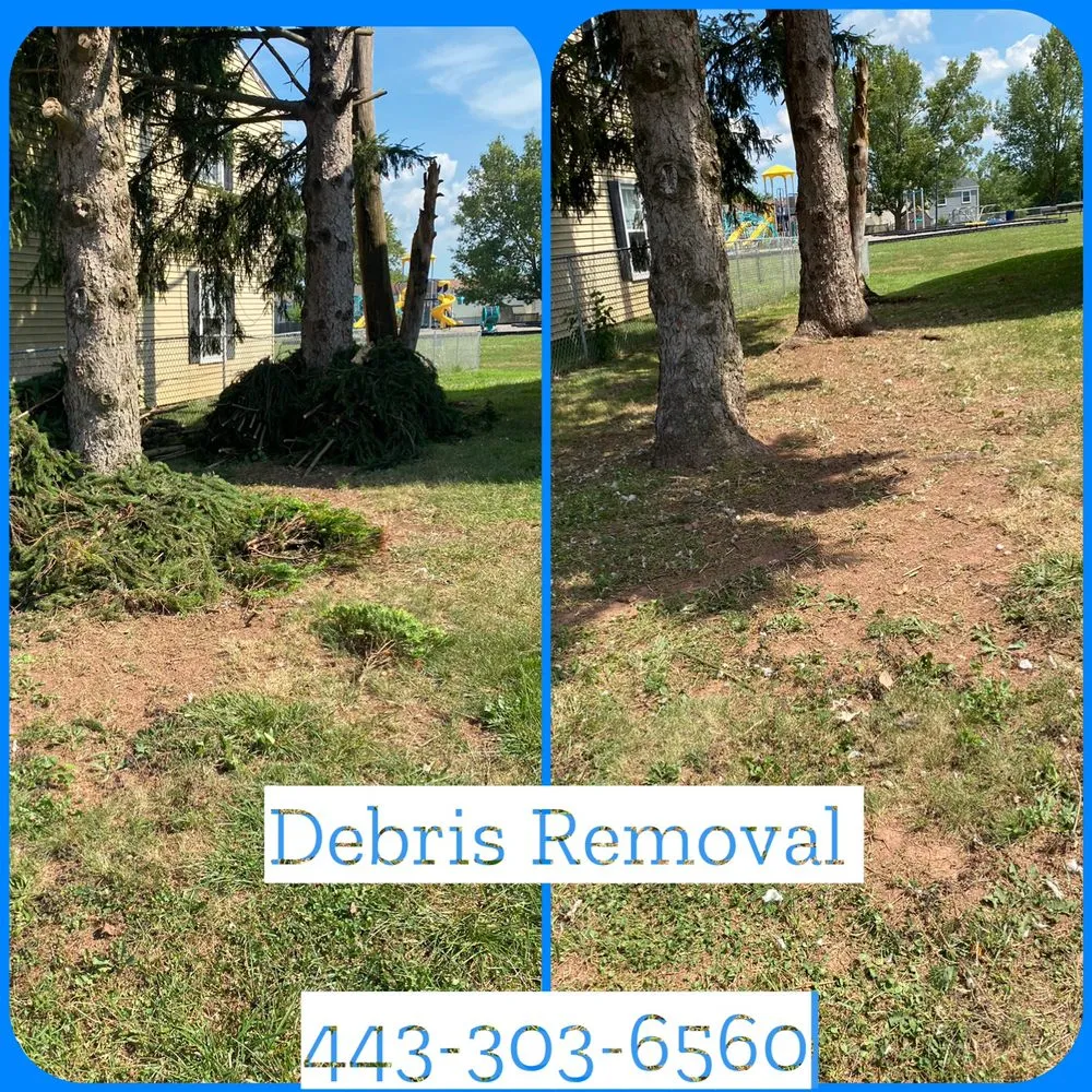 Reliable landscaping services in Taneytown, MD - Chib Brothers Property Services