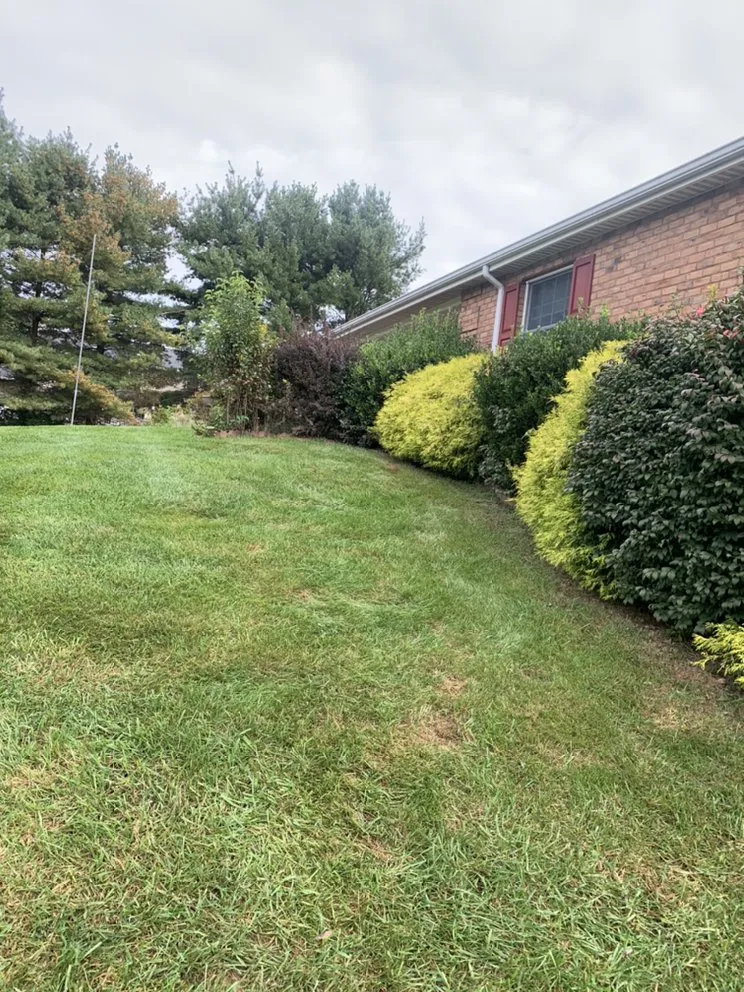 Reliable yard cleanup service in Taneytown, MD - Chib Brothers Property Services