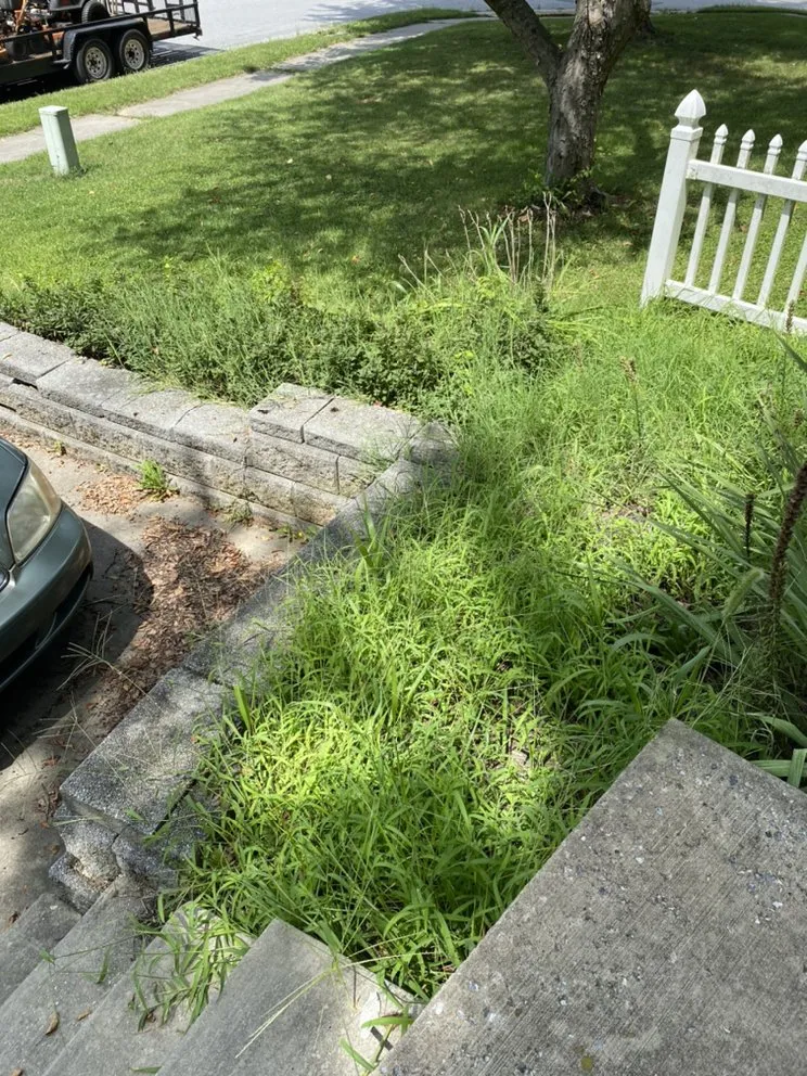 Professional landscaping services for beautiful yards in Taneytown, MD by Chib Brothers Property Services