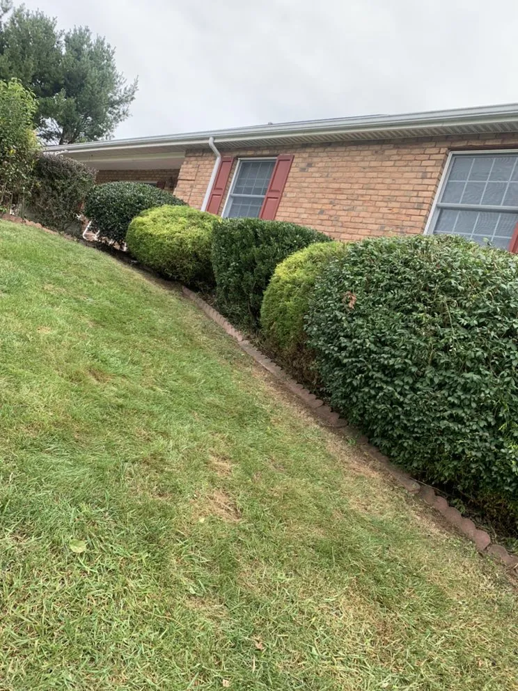 Affordable yard cleanup service experts serving Taneytown, MD - Chib Brothers Property Services