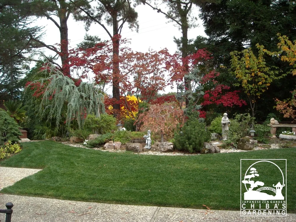 Professional outdoor landscaping experts serving San Mateo, CA - Chiba's Gardening