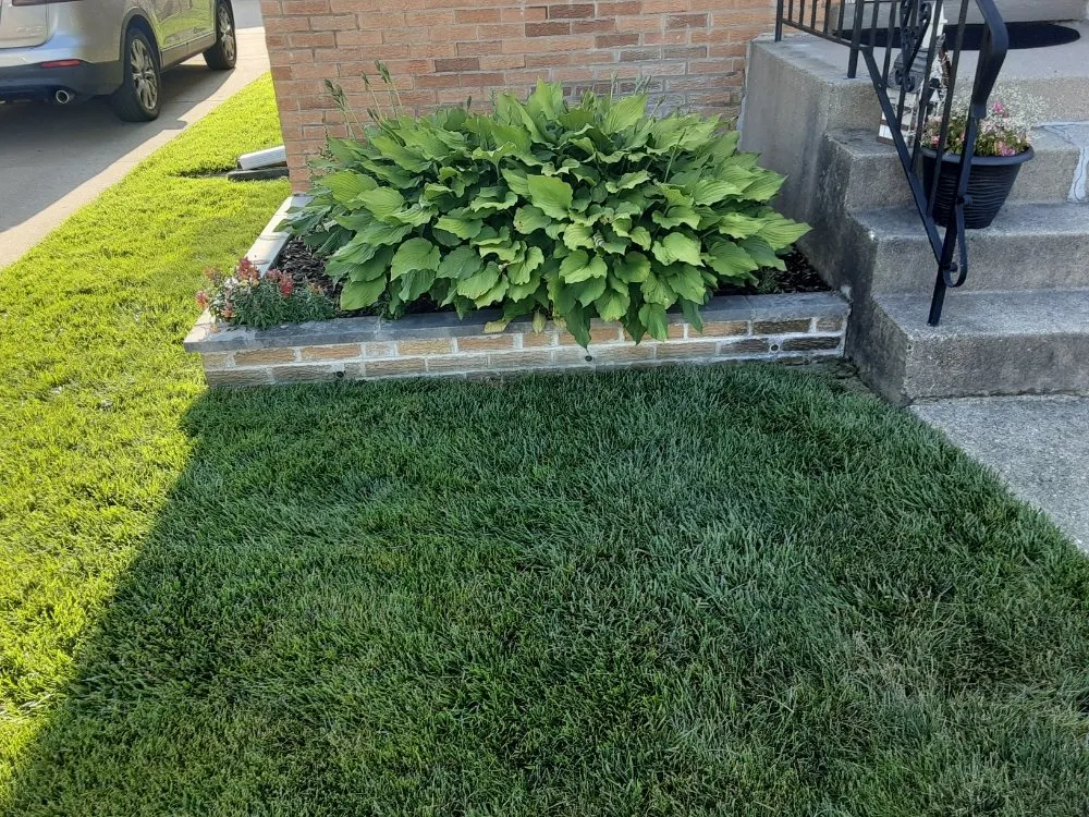 Trusted residential landscaping for residential properties in Glendale Heights, IL by Chicago Hardscape