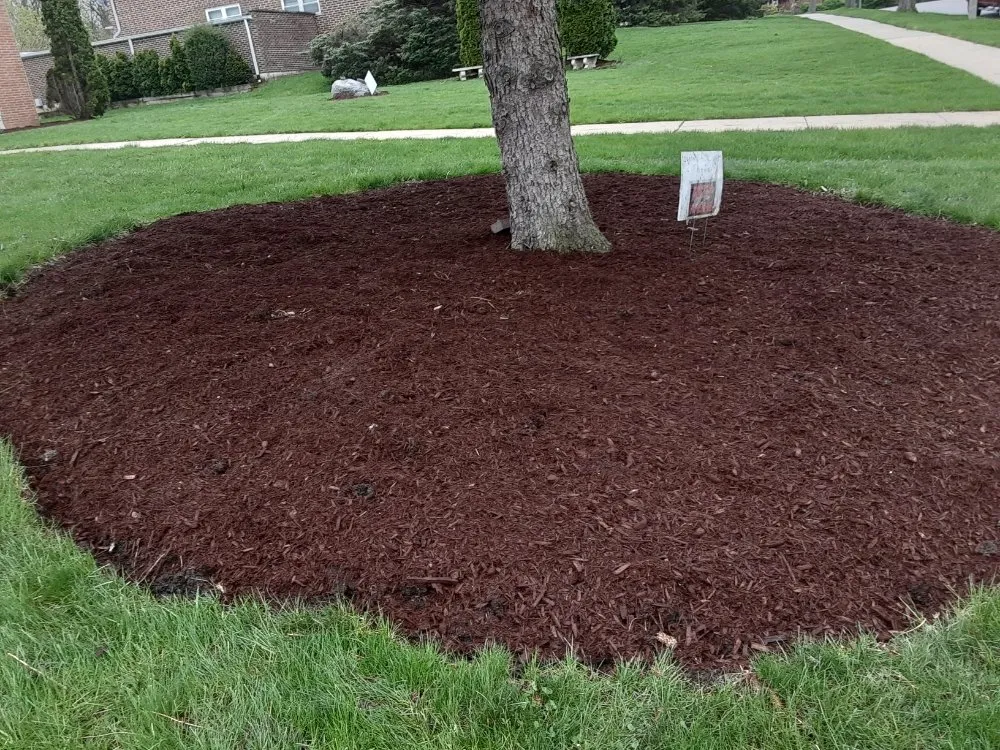 Custom landscape design for year-round maintenance across Glendale Heights, IL - Chicago Hardscape