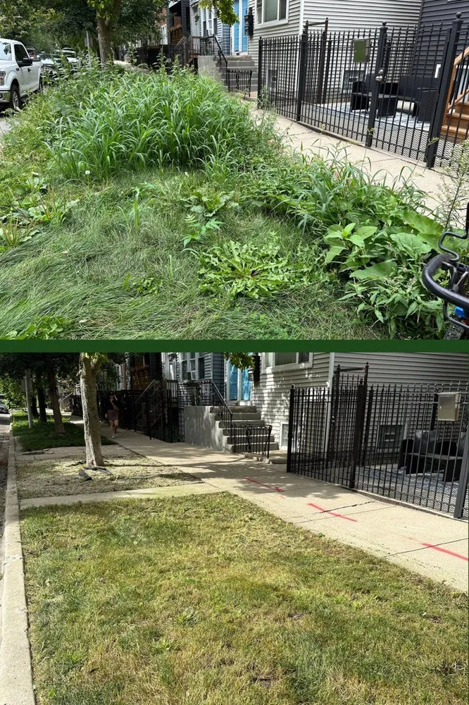 Local landscape design for residential properties in Chicago, IL by Chicago Landscaping