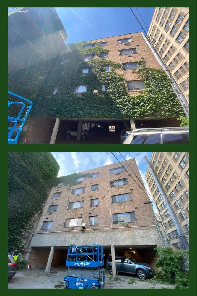 Expert lawn care service in Chicago, IL by Chicago Landscaping