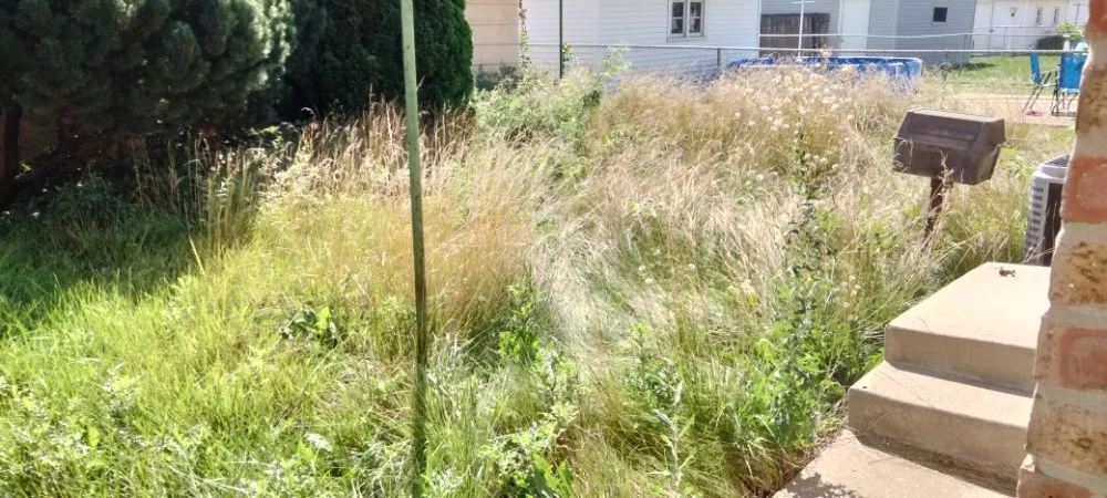 Professional landscape design in Evergreen Park, IL by Chicago Lawn Care