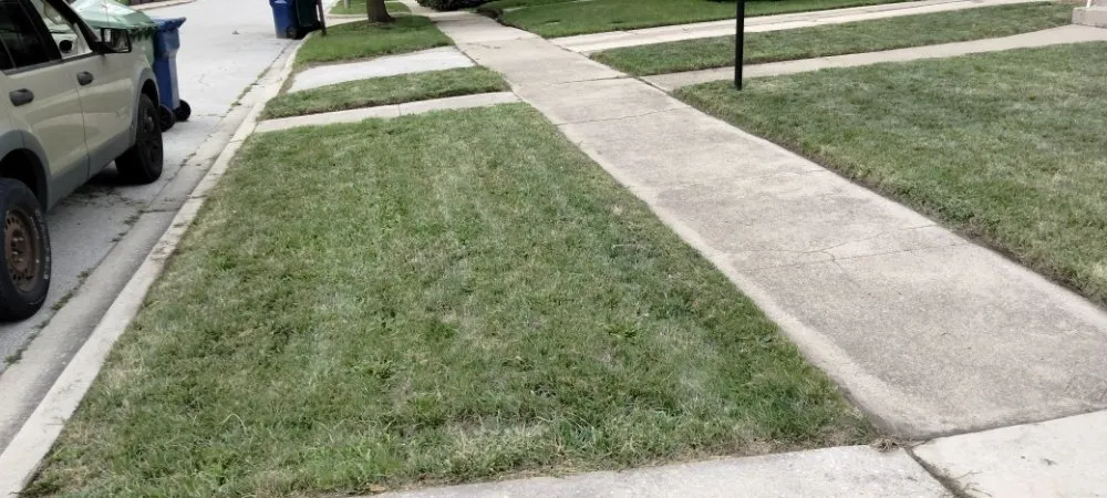 Top-rated lawn mowing service for outdoor upgrades in Evergreen Park, IL by Chicago Lawn Care