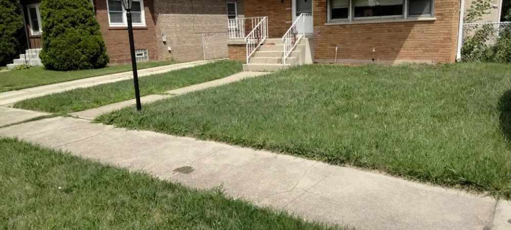 Affordable landscaping services with custom design in Evergreen Park, IL by Chicago Lawn Care