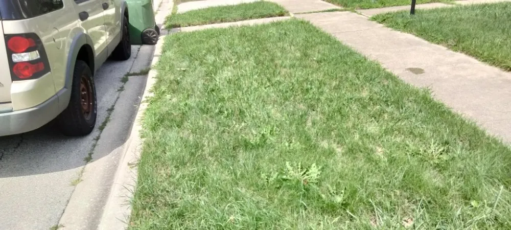 Affordable landscape design experts serving Evergreen Park, IL - Chicago Lawn Care