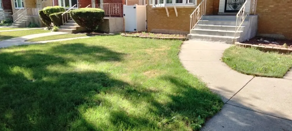 Local landscape installation for outdoor upgrades across Evergreen Park, IL - Chicago Lawn Care