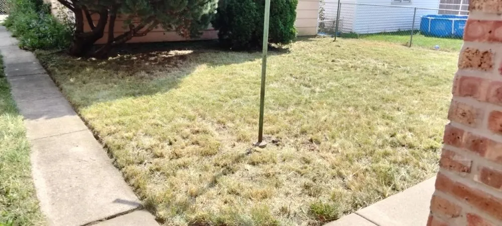 Expert lawn care service in Evergreen Park, IL by Chicago Lawn Care