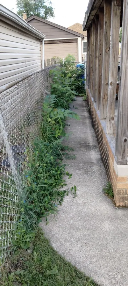 Expert yard cleanup service experts serving Evergreen Park, IL - Chicago Lawn Care