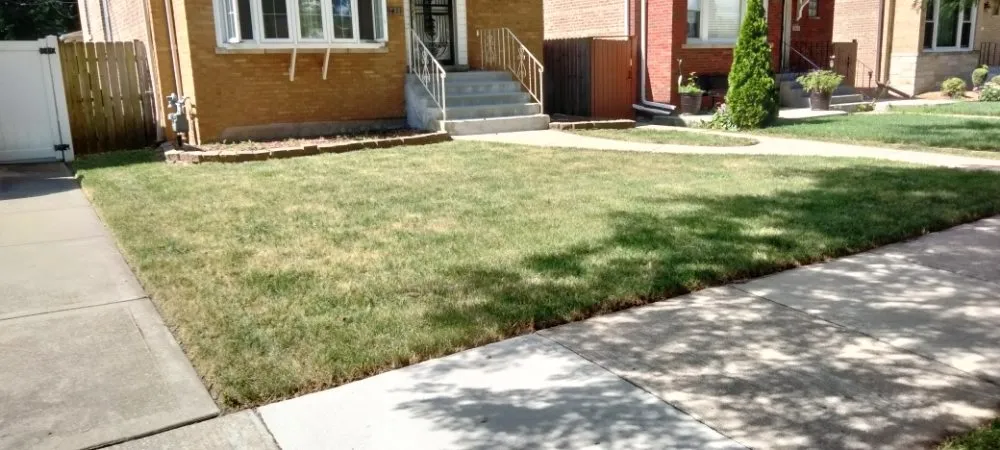 Custom garden landscaping in Evergreen Park, IL by Chicago Lawn Care