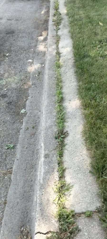 Top-rated lawn care service experts serving Evergreen Park, IL - Chicago Lawn Care