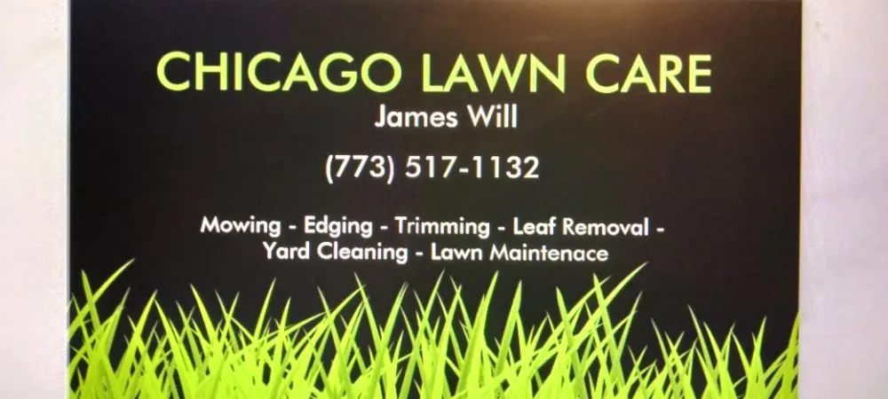 Reliable yard cleanup service for year-round maintenance across Evergreen Park, IL - Chicago Lawn Care