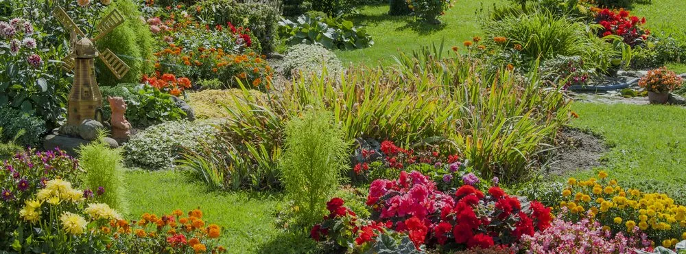 Expert landscaping services experts serving Blue Island, IL - Chicago Professional Landscaping