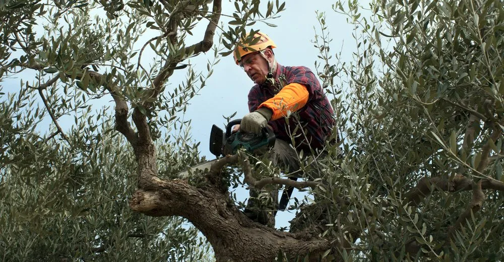 Expert yard maintenance for homes in Blue Island, IL by Chicago Professional Landscaping