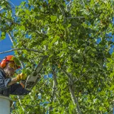 Top-rated yard maintenance for outdoor upgrades in Blue Island, IL by Chicago Professional Landscaping